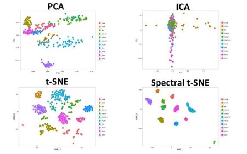 Featured image of post Clustering of single cells 